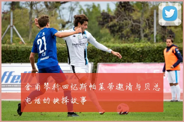 舍甫琴科回忆斯帕莱蒂邀请与贝总电话的抉择故事