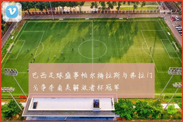 巴西足球盛事帕尔梅拉斯与弗拉门戈争夺南美解放者杯冠军