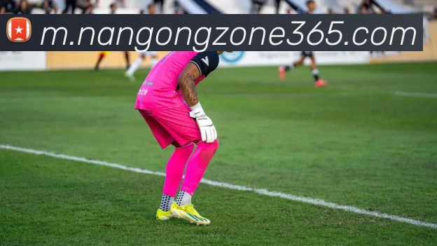 南宫体育平台生态图